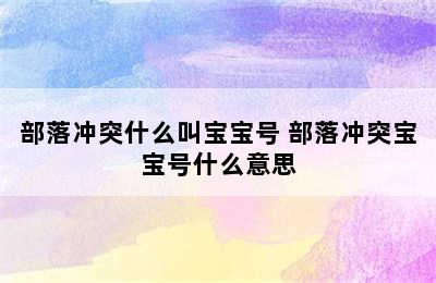 部落冲突什么叫宝宝号 部落冲突宝宝号什么意思